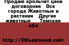 Продаю крольчат цена договорная - Все города Животные и растения » Другие животные   . Томская обл.